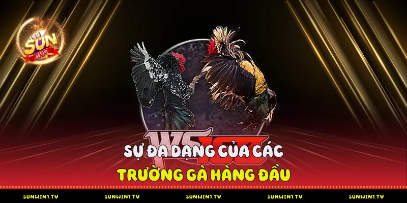 Sự Đa Dạng Đá gà hàng đầu